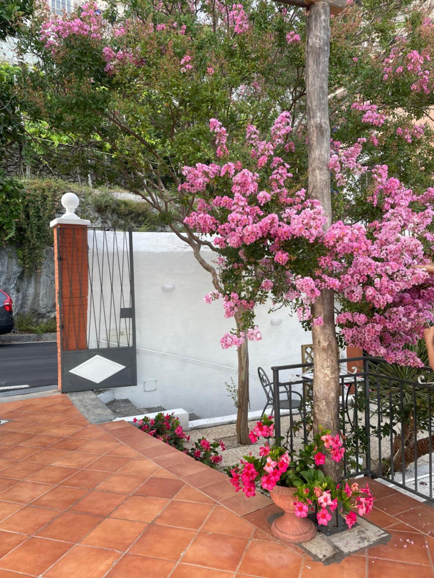 Villa Pino Furore Exterior photo